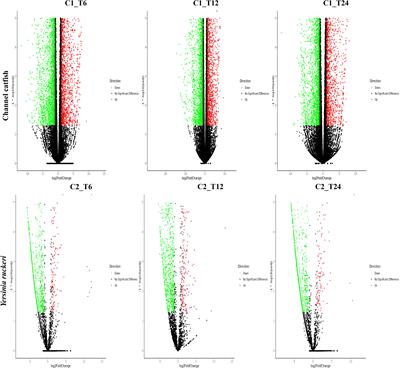 Corrigendum: Dual RNA-seq of trunk kidneys extracted from channel catfish infected with Yersinia ruckeri reveals novel insights into host-pathogen interactions